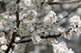 /album/bildgalleri/img-8179-jpg/